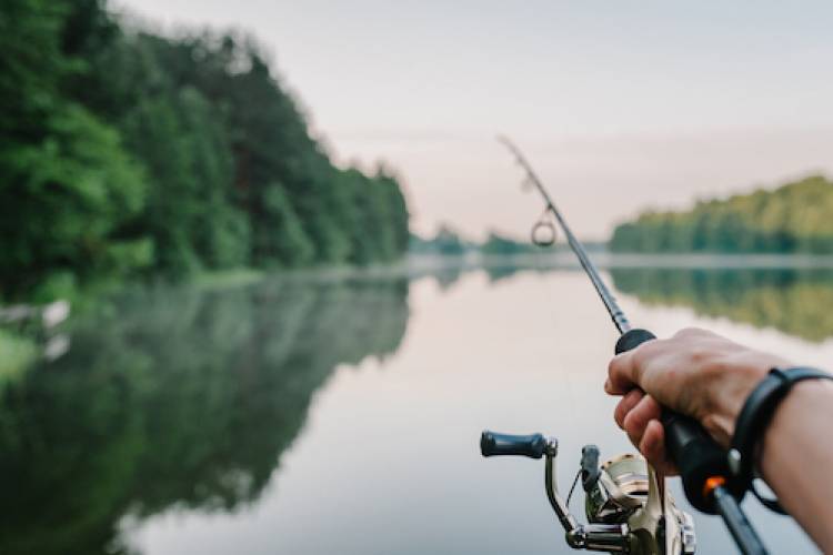 person casting a line going fishing in a pond